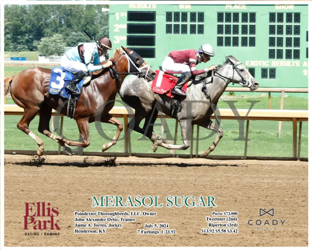 Merasol Sugar - 07-05-24 R08 Elp Action Ellis Park