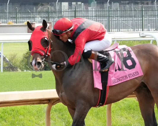 MERCANTE - 053125 - Race 09 - CD The Arlington Stakes G3 - 8th Running - Come Back 02 Churchill Downs