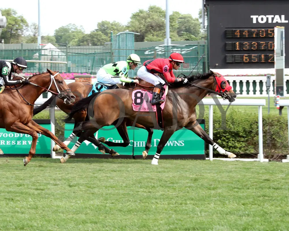 MERCANTE - 053125 - Race 09 - CD  The Arlington Stakes G3 - 8th Running - Finish 01 - Coady Media - Kurtis Coady Photography