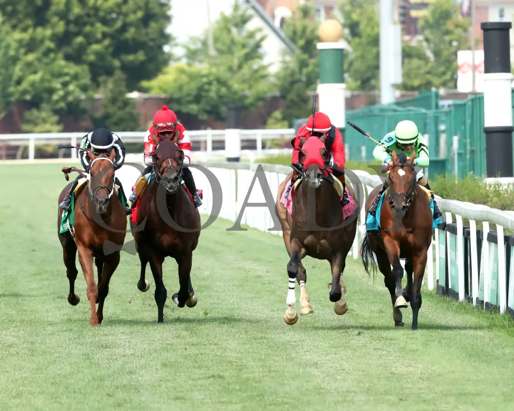 MERCANTE - 053125 - Race 09 - CD The Arlington Stakes G3 - 8th Running - Head On 01 Churchill Downs
