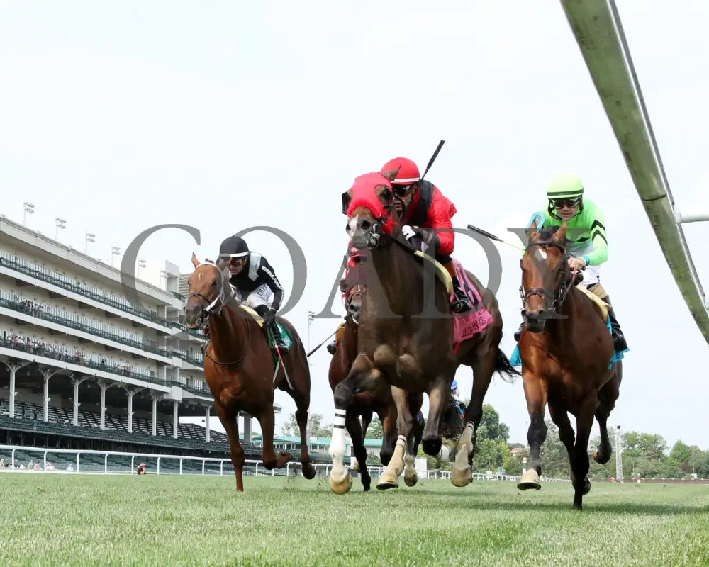 MERCANTE - 053125 - Race 09 - CD The Arlington Stakes G3 - 8th Running - Under Rail 01 Churchill Downs