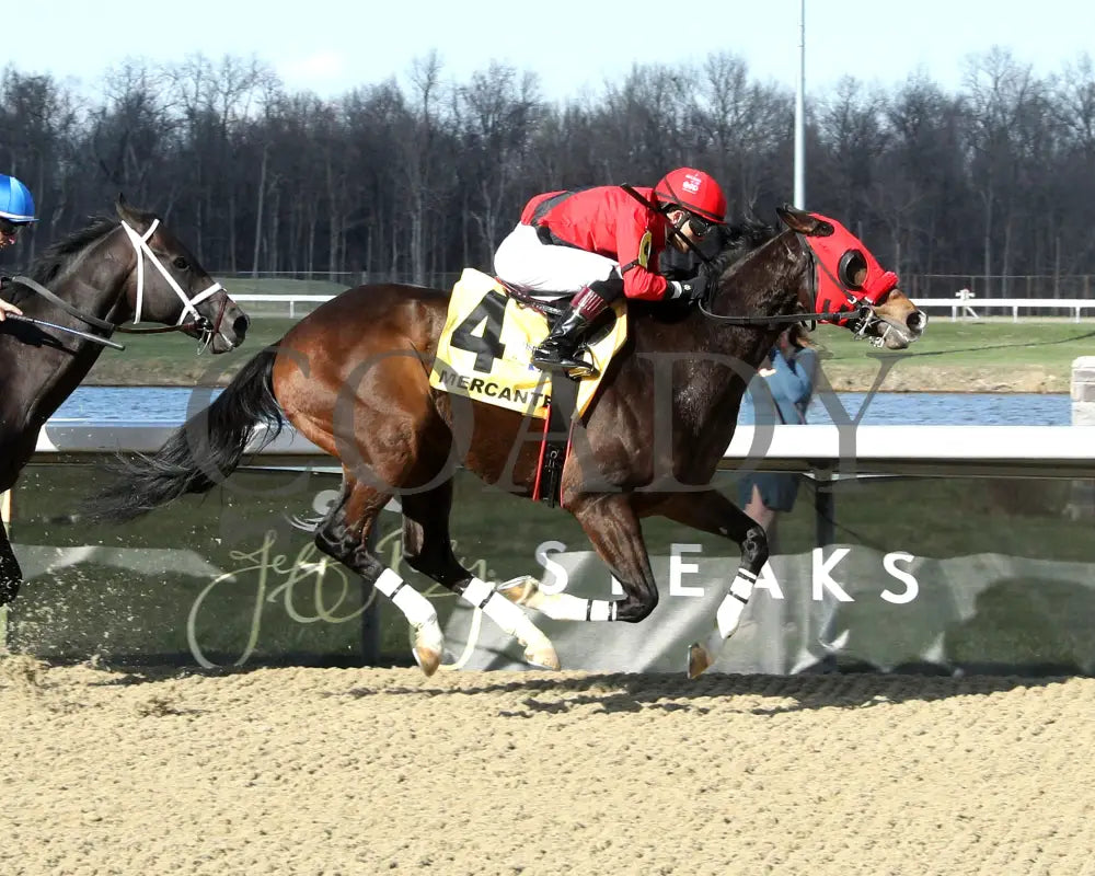 MERCANTE - TwinSpires Kentucky Cup Classic - 25th Running - 03-22-25 - R10 - TP - Finish 01 Turfway Park