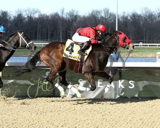 MERCANTE - TwinSpires Kentucky Cup Classic - 25th Running - 03-22-25 - R10 - TP - Finish 01 Turfway Park