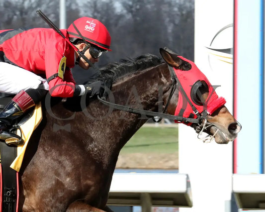 MERCANTE - TwinSpires Kentucky Cup Classic - 25th Running - 03-22-25 - R10 - TP - Finish 02 Turfway Park