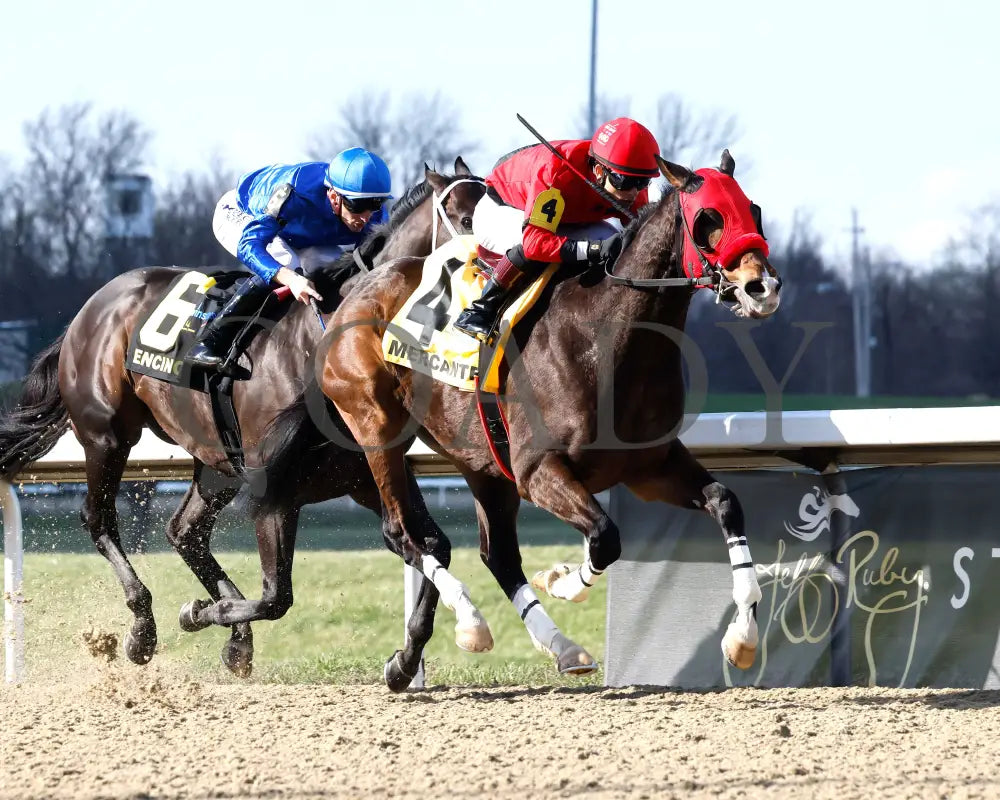 MERCANTE - TwinSpires Kentucky Cup Classic - 25th Running - 03-22-25 - R10 - TP - Finish 03 Turfway Park