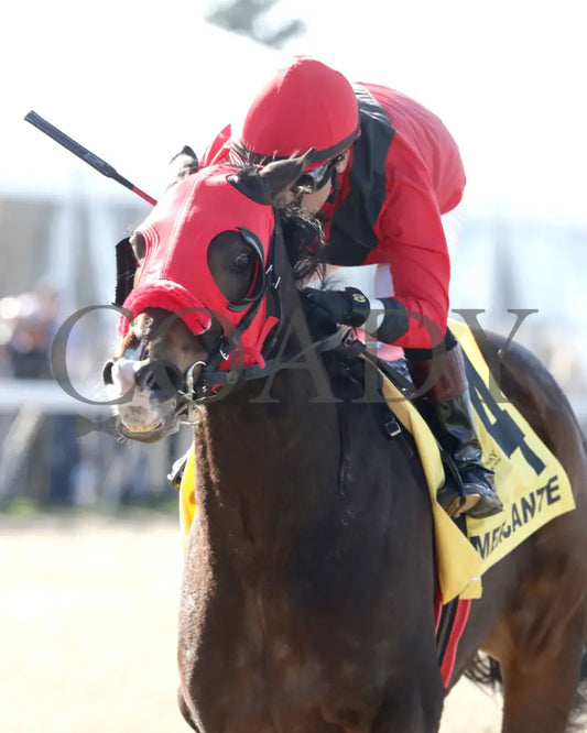 MERCANTE - TwinSpires Kentucky Cup Classic - 25th Running - 03-22-25 - R10 - TP - Inside Finish 01 Turfway Park