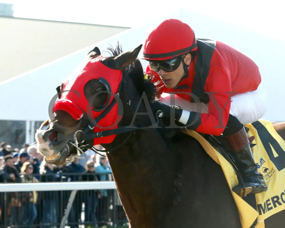 MERCANTE - TwinSpires Kentucky Cup Classic - 25th Running - 03-22-25 - R10 - TP - Inside Finish 02 Turfway Park