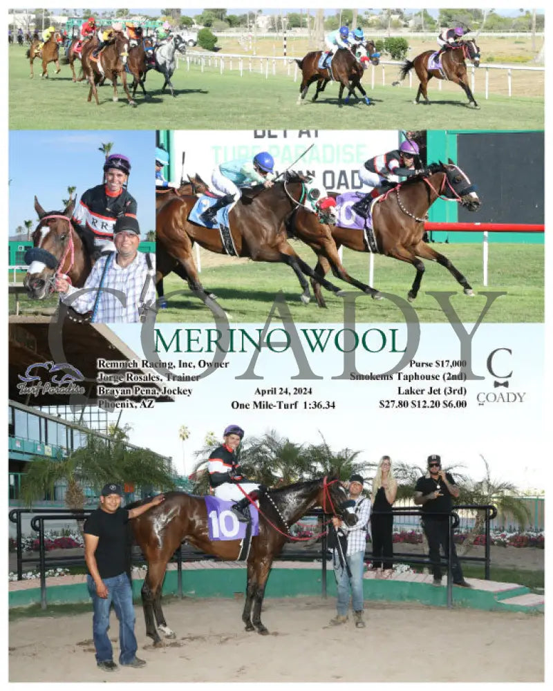 Merino Wool - 04 - 24 - 24 R10 Tup Turf Paradise