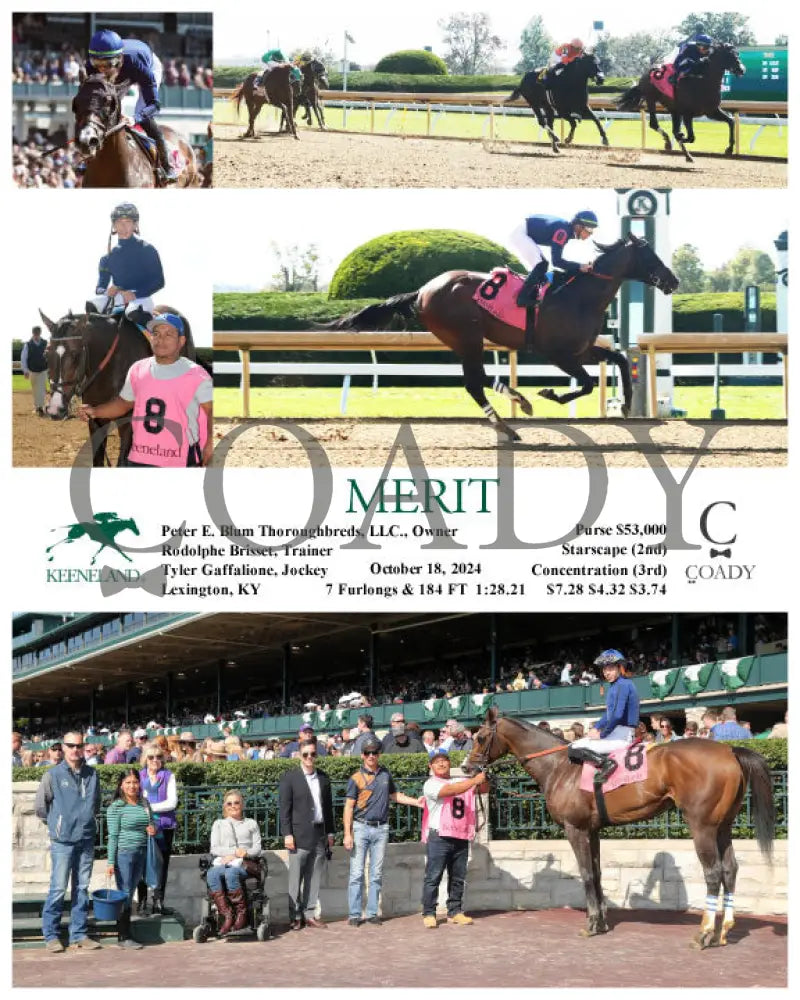 Merit - 10-18-24 R03 Kee Keeneland