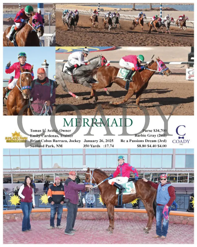Merrmaid - 01-26-25 R08 Sun Turfway Park