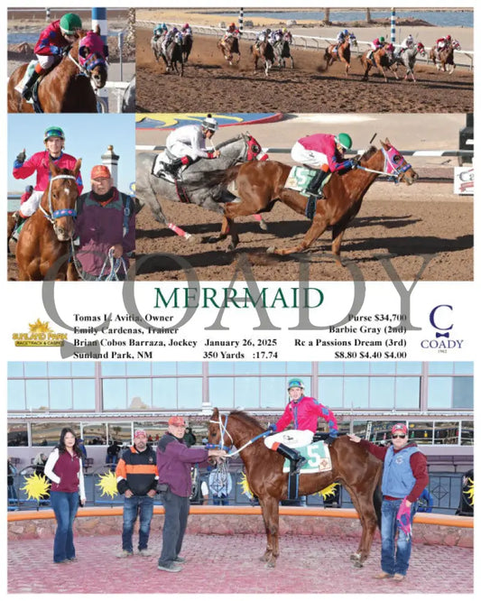 Merrmaid - 01-26-25 R08 Sun Turfway Park