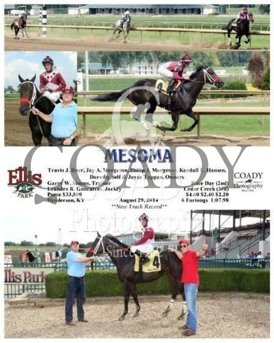 Mesoma - 082914 Race 06 Elp Ellis Park