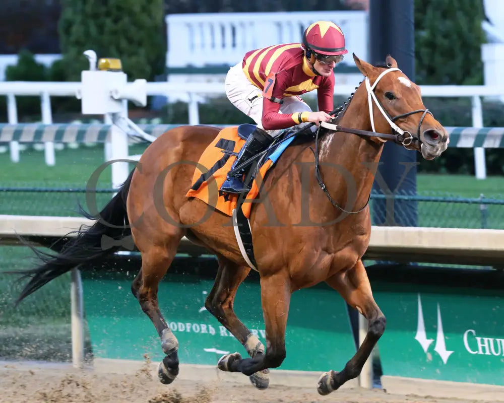 Mia Mischief - Dream Supreme Overnight Stakes 15Th Running 11-01-19 R09 Cd Finish 02 Churchill Downs