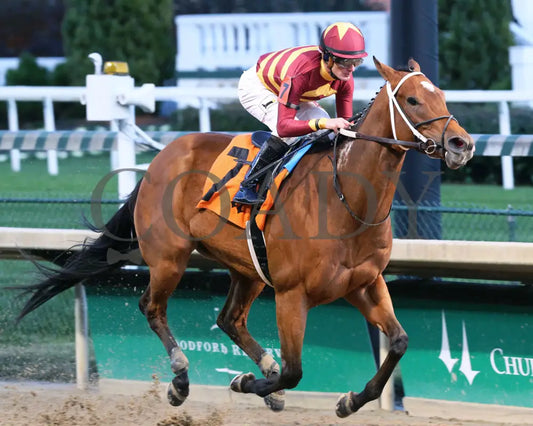 Mia Mischief - Dream Supreme Overnight Stakes 15Th Running 11-01-19 R09 Cd Finish 02 Churchill Downs