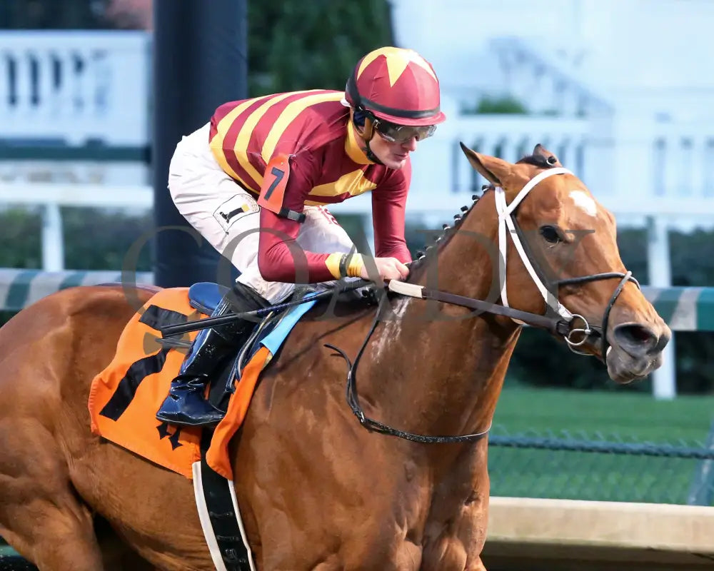 Mia Mischief - Dream Supreme Overnight Stakes 15Th Running 11-01-19 R09 Cd Finish 03 Churchill Downs