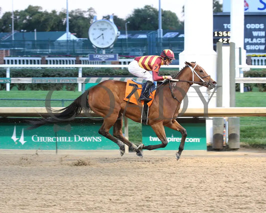 Mia Mischief - Dream Supreme Overnight Stakes 15Th Running 11-01-19 R09 Cd Finish 01 Churchill Downs