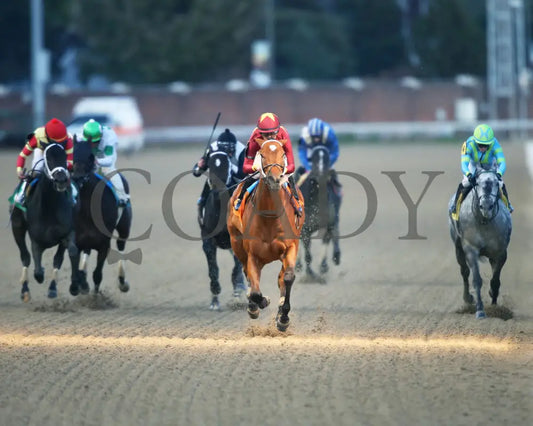 Mia Mischief - Dream Supreme Overnight Stakes 15Th Running 11-01-19 R09 Cd Head On 01 Churchill