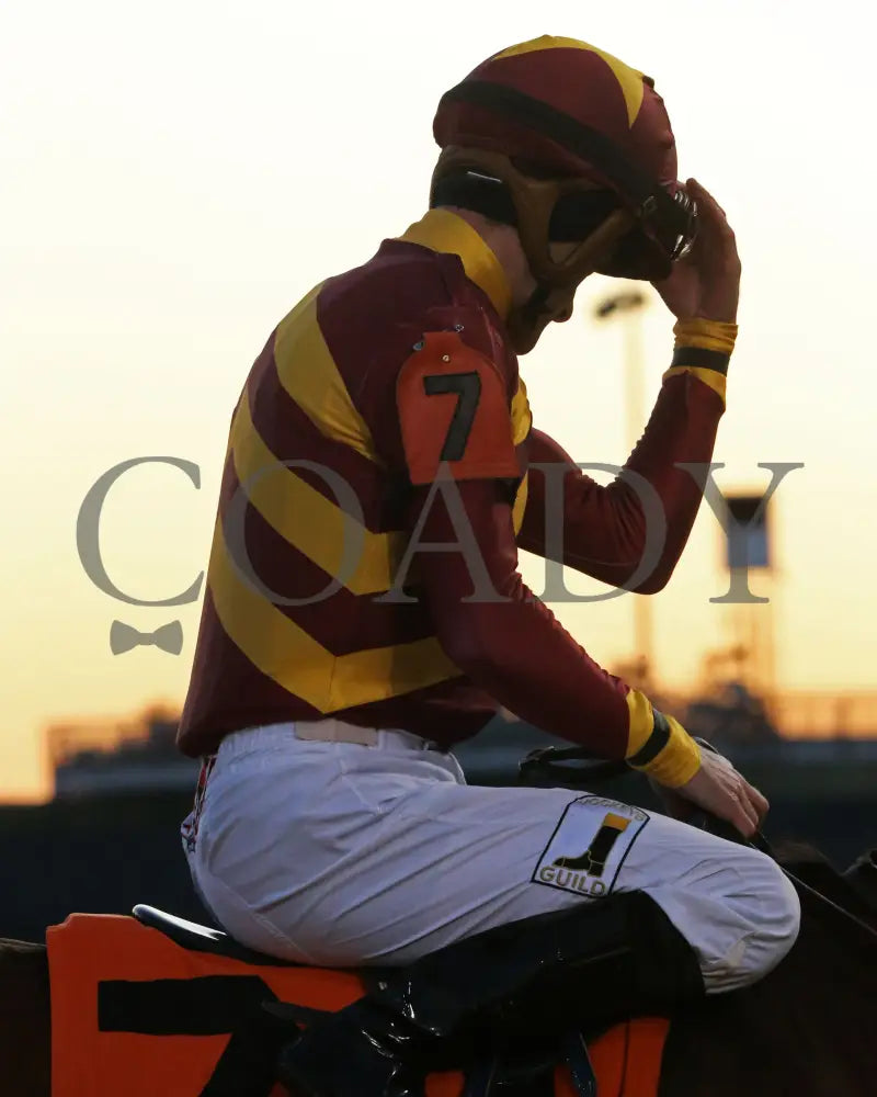 Mia Mischief - Dream Supreme Overnight Stakes 15Th Running 11-01-19 R09 Cd Julien Leparoux 02