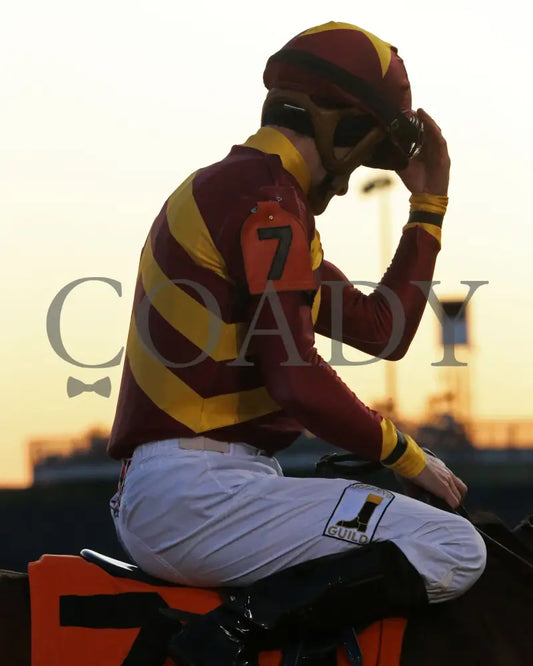 Mia Mischief - Dream Supreme Overnight Stakes 15Th Running 11-01-19 R09 Cd Julien Leparoux 02