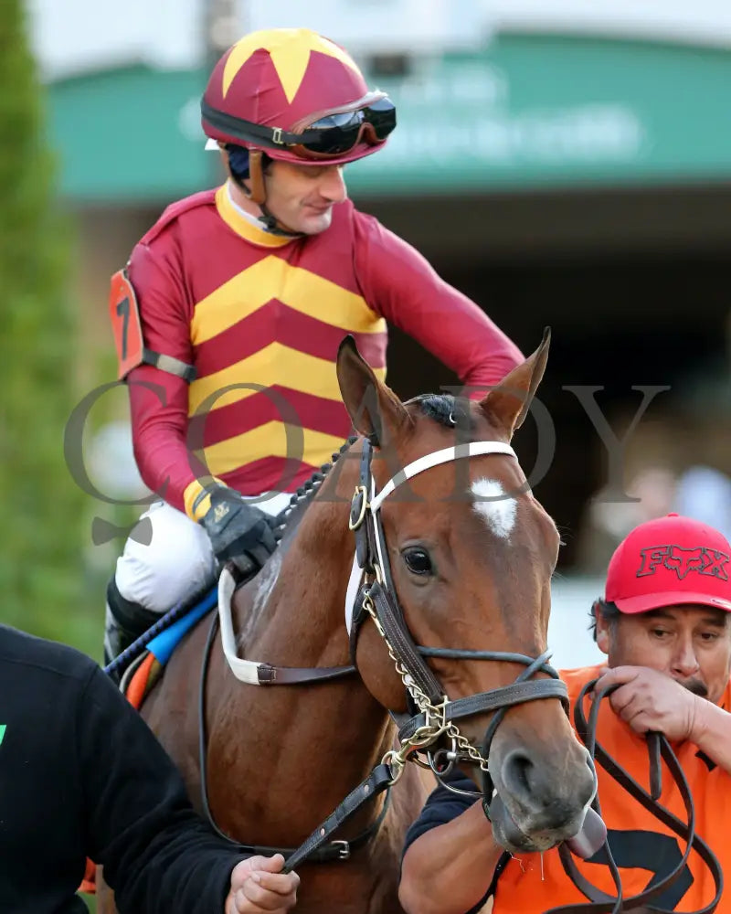 Mia Mischief - Dream Supreme Overnight Stakes 15Th Running 11-01-19 R09 Cd Paddock 03 Churchill