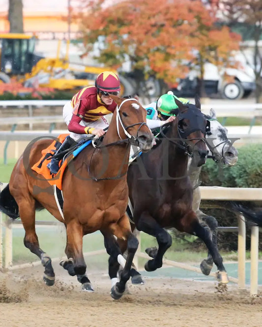 Mia Mischief - Dream Supreme Overnight Stakes 15Th Running 11-01-19 R09 Cd Turn 02 Churchill Downs