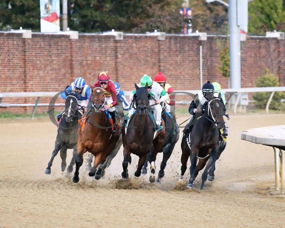 Mia Mischief - Dream Supreme Overnight Stakes 15Th Running 11-01-19 R09 Cd Turn 01 Churchill Downs