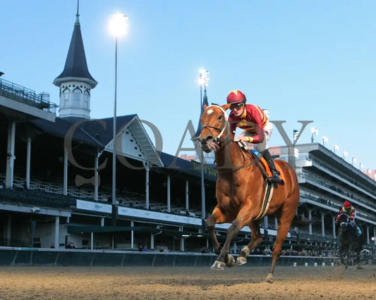 Mia Mischief - Dream Supreme Overnight Stakes 15Th Running 11-01-19 R09 Cd Under Rail 01 Churchill