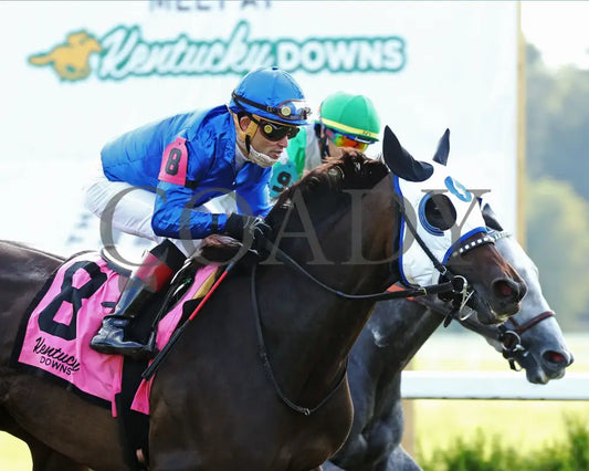 Micheline - Exacta Systems Dueling Grounds Oaks 6Th Running 09-10-20 R08 Kd Finish 02 Kentucky Downs