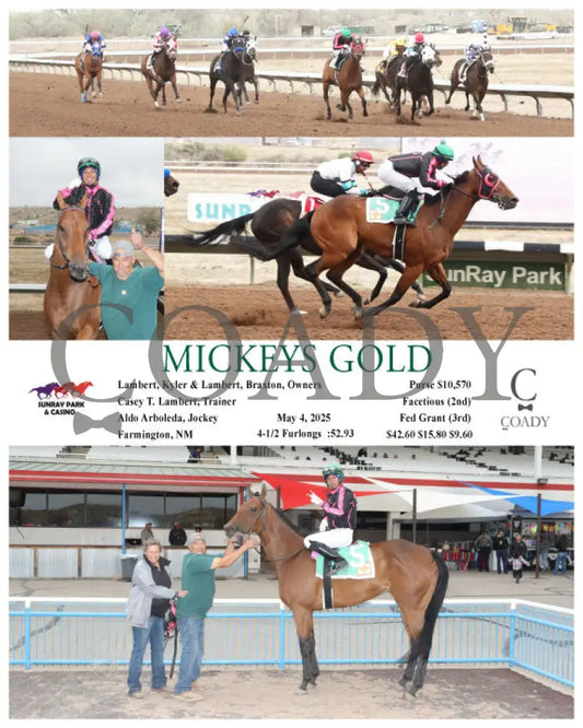 MICKEYS GOLD - 05-04-25 - R08 - SRP SunRay Park