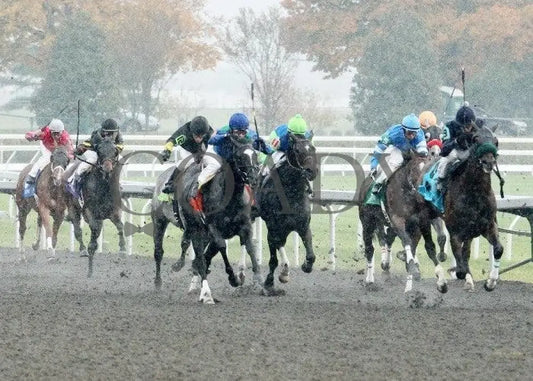 Middie - 1 102611 Race 06 Keeneland