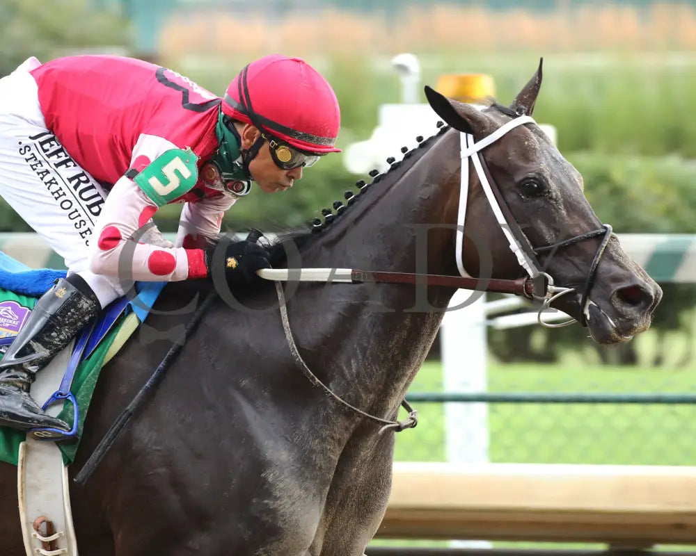 Midnight Bisou - The Fleur De Lis G2 45Th Running 06-27-20 R09 Cd Finish 03 Churchill Downs