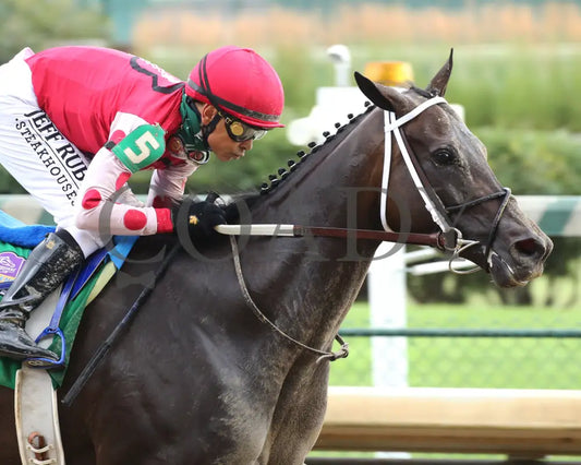 Midnight Bisou - The Fleur De Lis G2 45Th Running 06-27-20 R09 Cd Finish 03 Churchill Downs