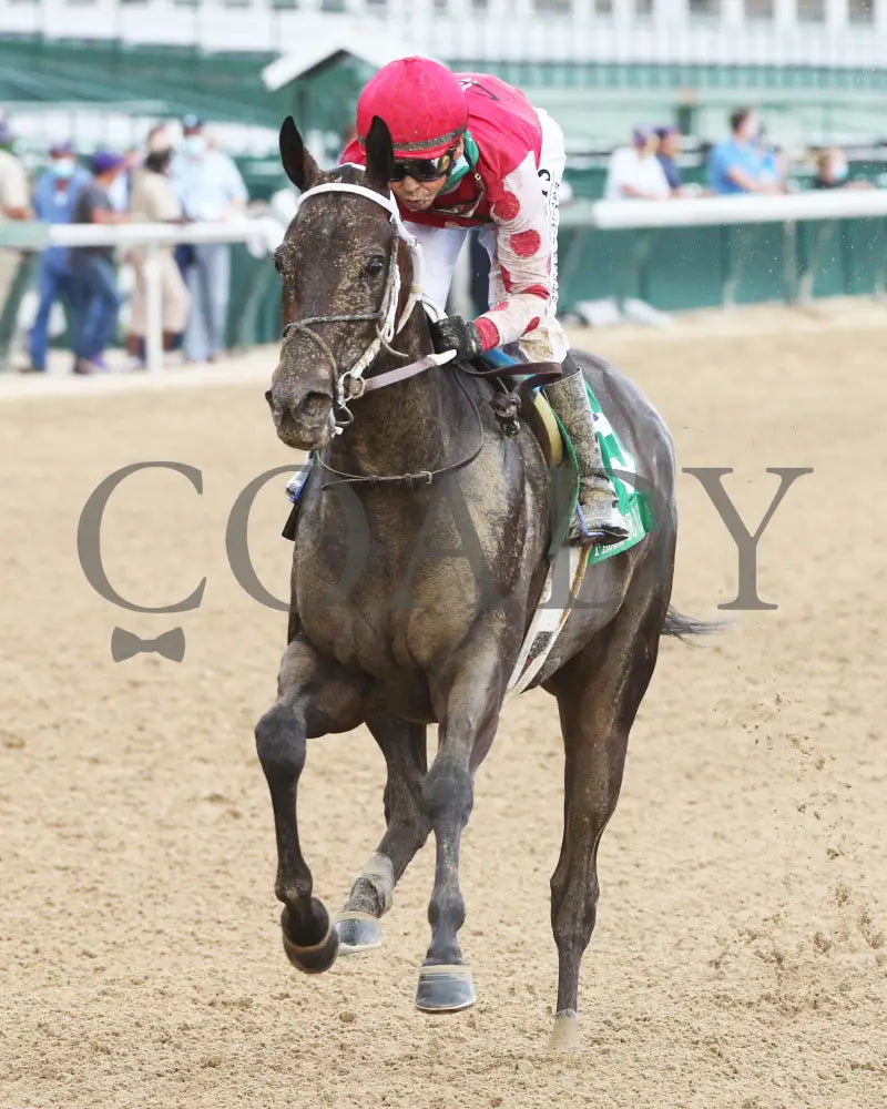 Midnight Bisou - The Fleur De Lis G2 45Th Running 06-27-20 R09 Cd Inside Finish 01 Churchill Downs
