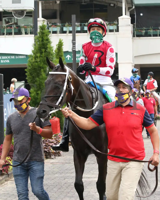 Midnight Bisou - The Fleur De Lis G2 45Th Running 06-27-20 R09 Cd Paddock 02 Churchill Downs