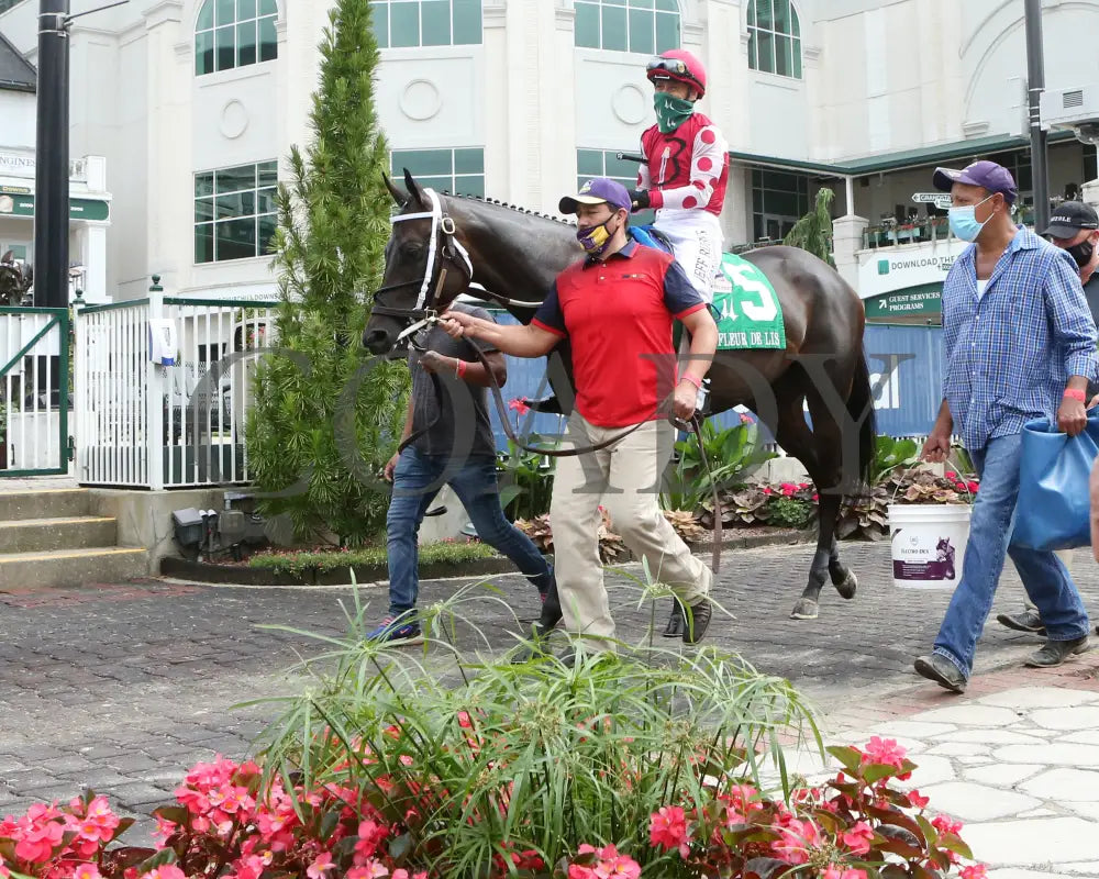 Midnight Bisou - The Fleur De Lis G2 45Th Running 06-27-20 R09 Cd Paddock 04 Churchill Downs