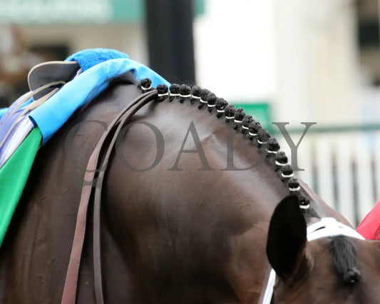 Midnight Bisou - The Fleur De Lis G2 45Th Running 06-27-20 R09 Cd Scenic 01 Churchill Downs