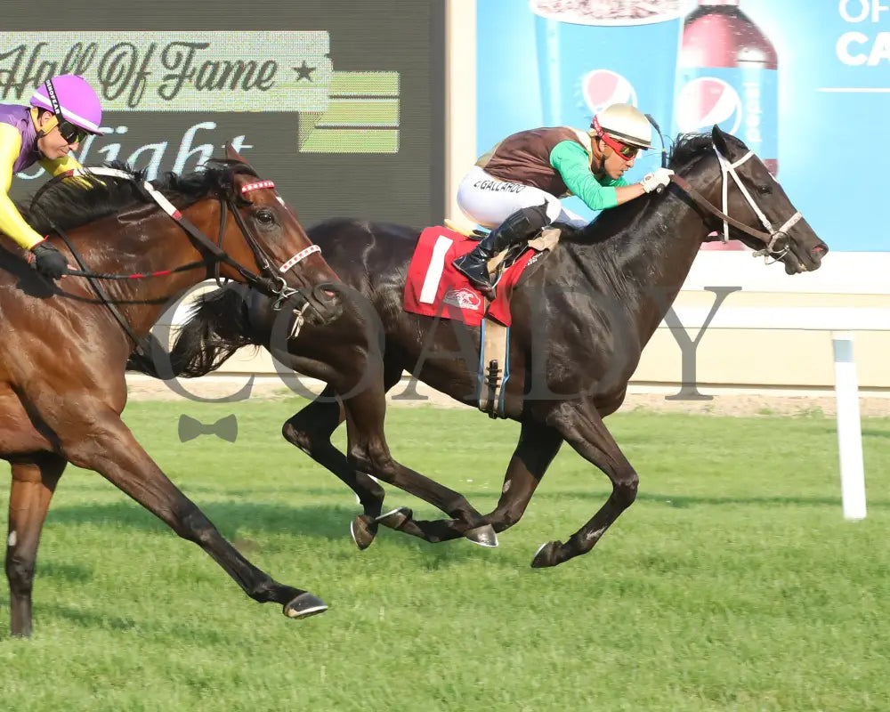 Midnight Current - Minnesota Turf Distaff 07-13-24 R04 Canterbury Park Finish