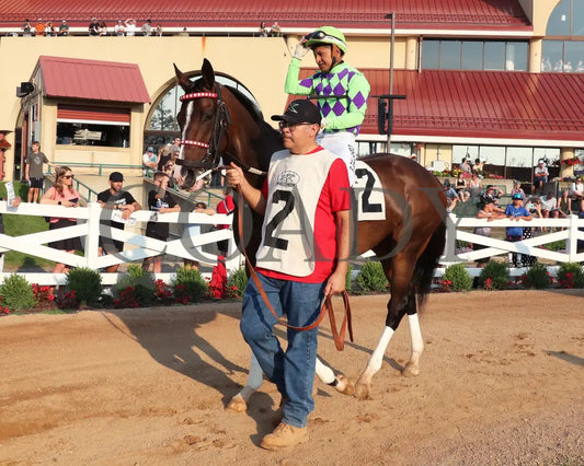Midnight Current - Minnesota Turf Distaff 07-13-24 R04 Canterbury Park Paddock