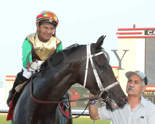 Midnight Current - Minnesota Turf Distaff 07-13-24 R04 Canterbury Park Return Shot 2