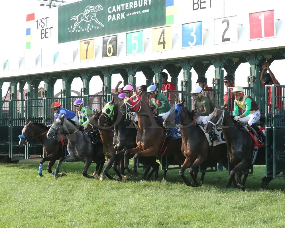 Midnight Current - Minnesota Turf Distaff 07-13-24 R04 Canterbury Park Starting Gate