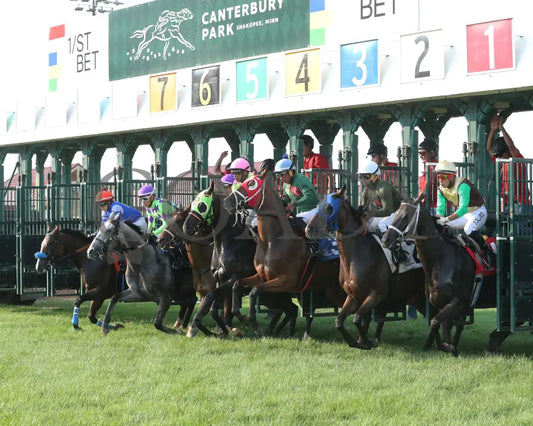 Midnight Current - Minnesota Turf Distaff 07-13-24 R04 Canterbury Park Starting Gate