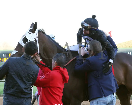 Midshipman’s Dance - Mockingbird Stakes 1St Running 01-13-24 R09 Op Celebration 03 Oaklawn Park