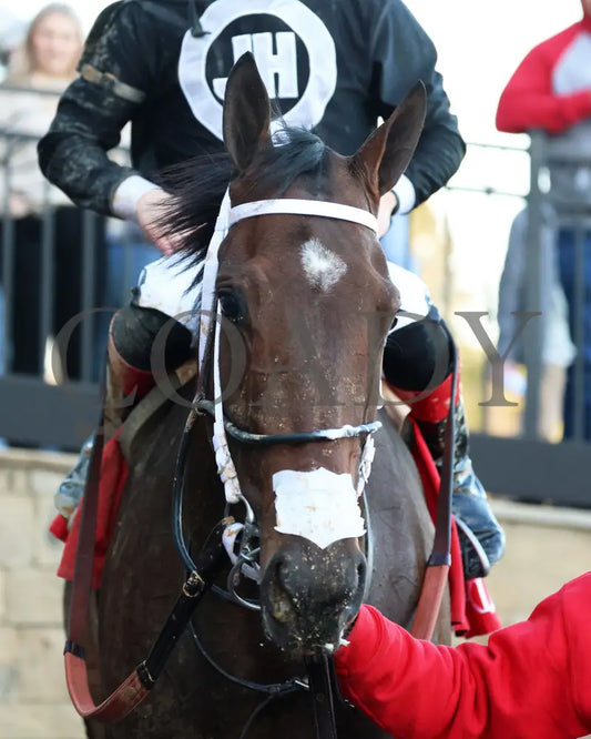 Midshipman’s Dance - Mockingbird Stakes 1St Running 01-13-24 R09 Op Come Back 01 Oaklawn Park