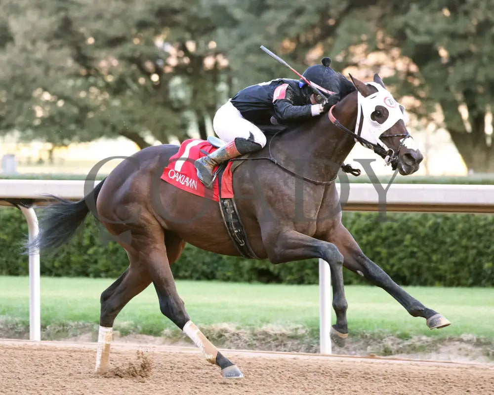 Midshipman’s Dance - Mockingbird Stakes 1St Running 01-13-24 R09 Op Finish 02 Oaklawn Park