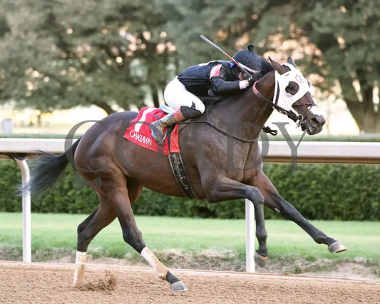 Midshipman’s Dance - Mockingbird Stakes 1St Running 01-13-24 R09 Op Finish 02 Oaklawn Park
