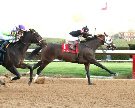 Midshipman’s Dance - Mockingbird Stakes 1St Running 01-13-24 R09 Op Finish 01 Oaklawn Park