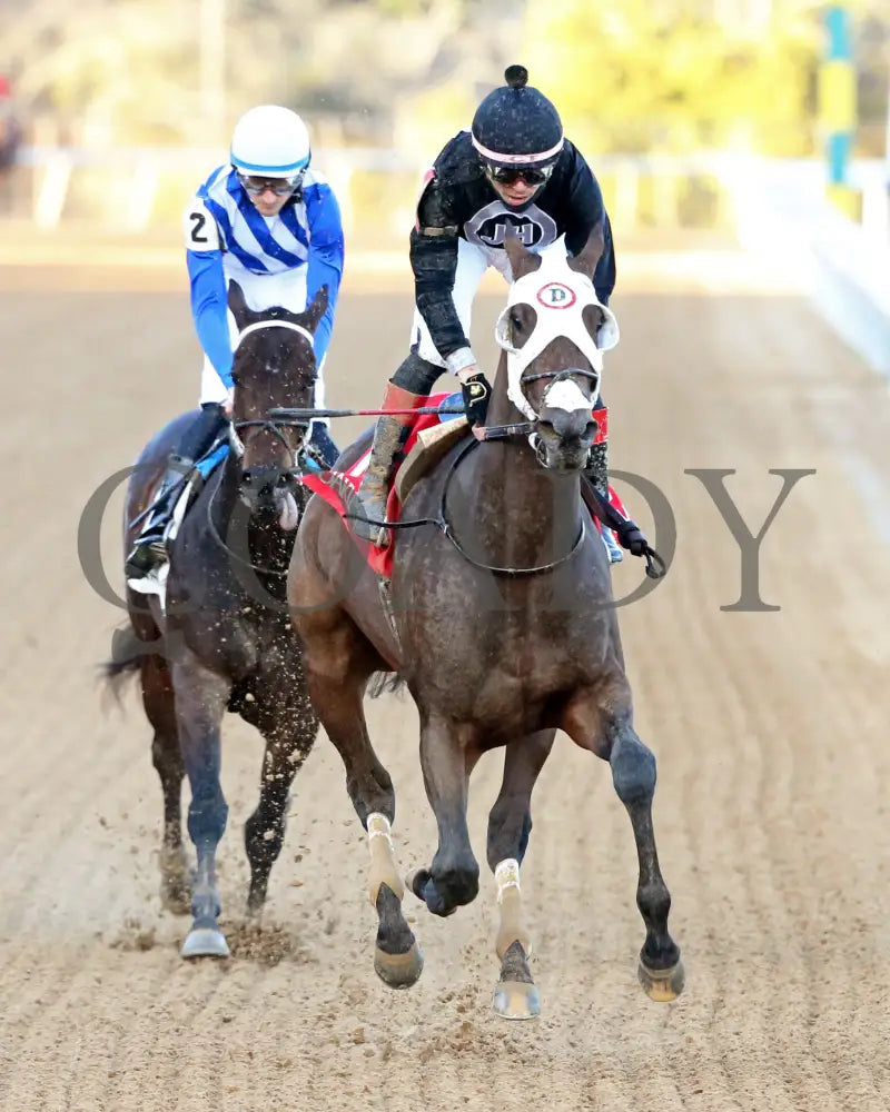Midshipman’s Dance - Mockingbird Stakes 1St Running 01-13-24 R09 Op Gallop Out 01 Oaklawn Park
