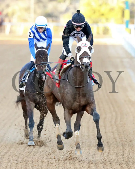Midshipman’s Dance - Mockingbird Stakes 1St Running 01-13-24 R09 Op Gallop Out 01 Oaklawn Park