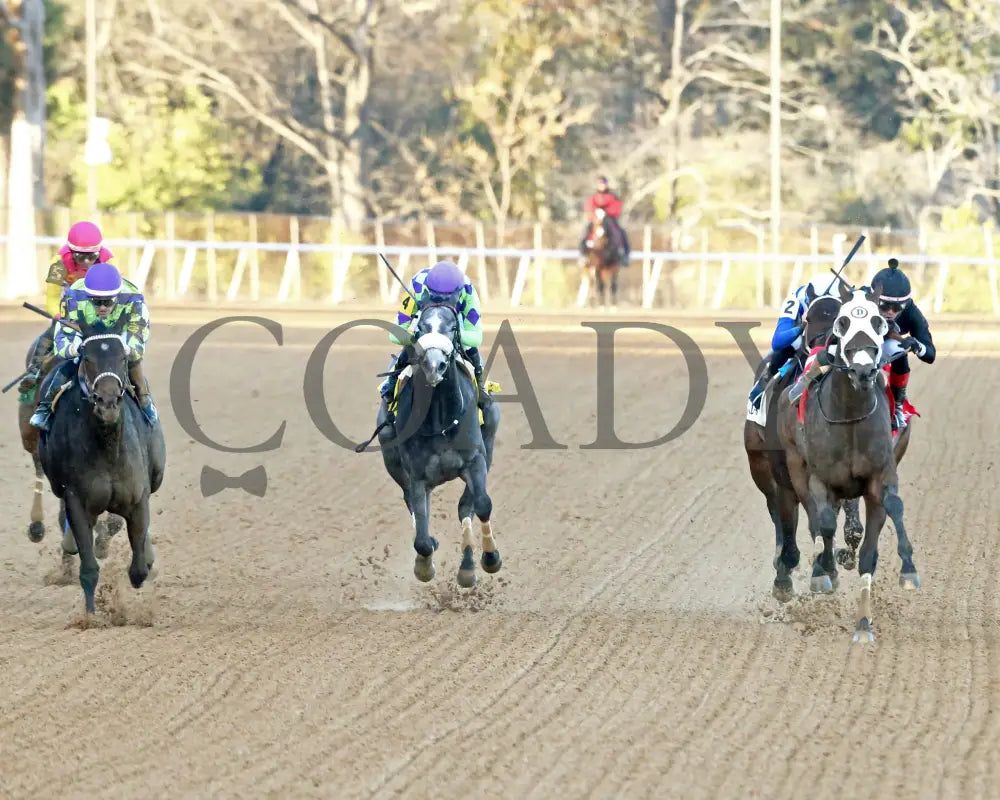 Midshipman’s Dance - Mockingbird Stakes 1St Running 01-13-24 R09 Op Head On 01 Oaklawn Park