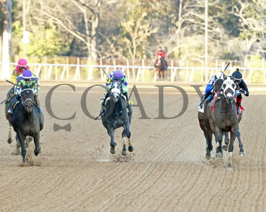Midshipman’s Dance - Mockingbird Stakes 1St Running 01-13-24 R09 Op Head On 01 Oaklawn Park
